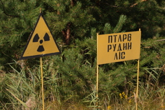 チェルノブイリ　ホットポイント　看板