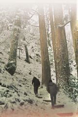 雪中の玉置山ハイク