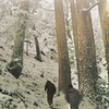雪中の玉置山ハイク