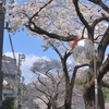春の神田川　〜1〜