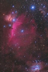 馬頭星雲とランニングマン星雲