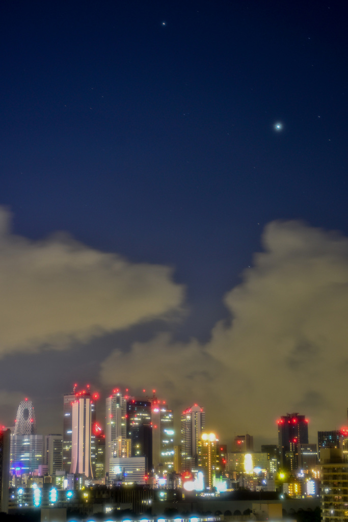 新宿で眺める星空
