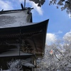 玉置神社　本殿