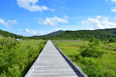 浄土平湿原