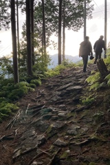 果無集落への道　(熊野古道　小辺路)