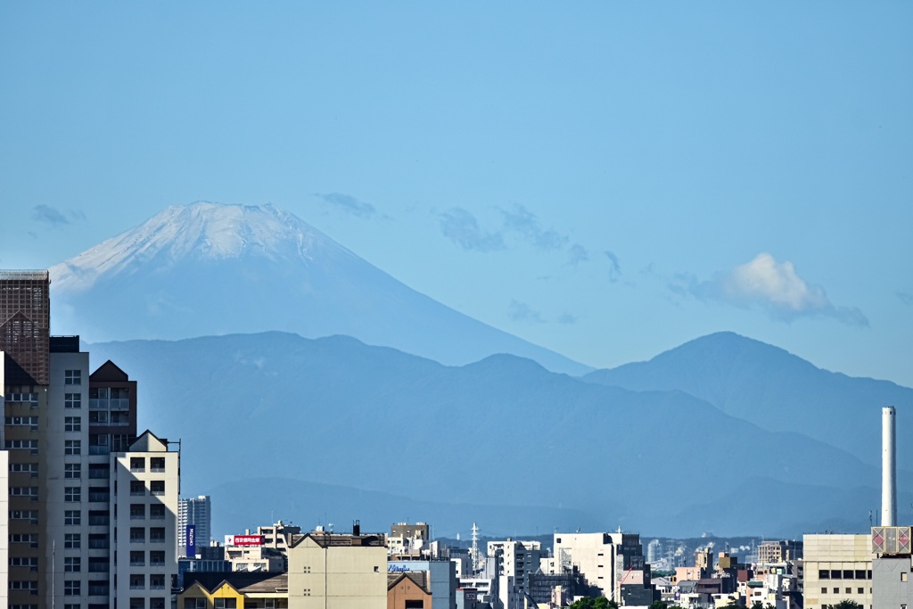 初冠雪