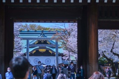 靖国神社　賑