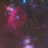 馬頭星雲とオリオン大星雲