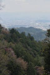 京都盆地俯瞰
