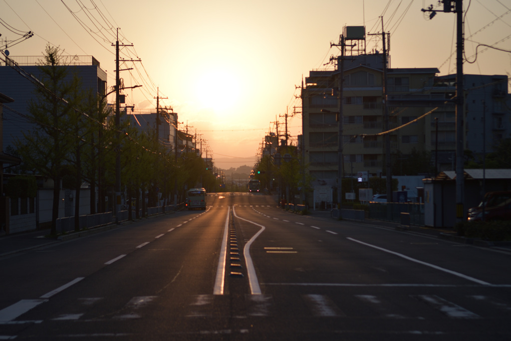 朝日照る丸太町通り