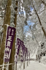 玉置神社　雪参道