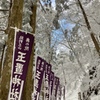 玉置神社　雪参道