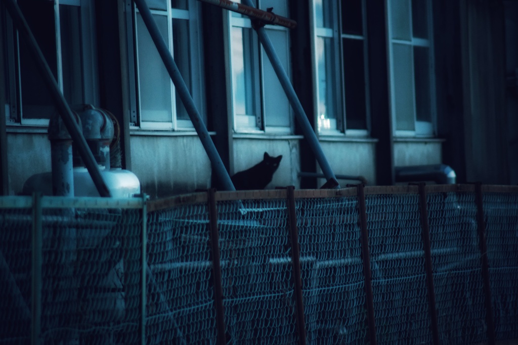 只今警戒レベル2