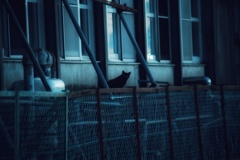 只今警戒レベル2