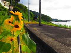 夏の終わり