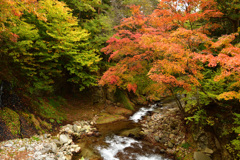 武石川の秋