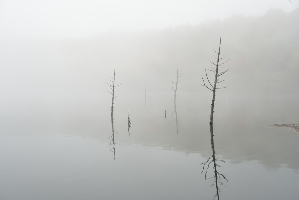 湖上の霧