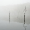 湖上の霧