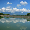 水に溶けた風景