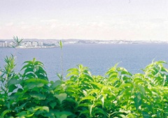 猿島