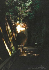 猿島