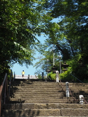 暑い日ざし (2)