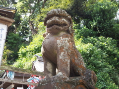 狛犬