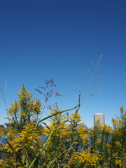 空