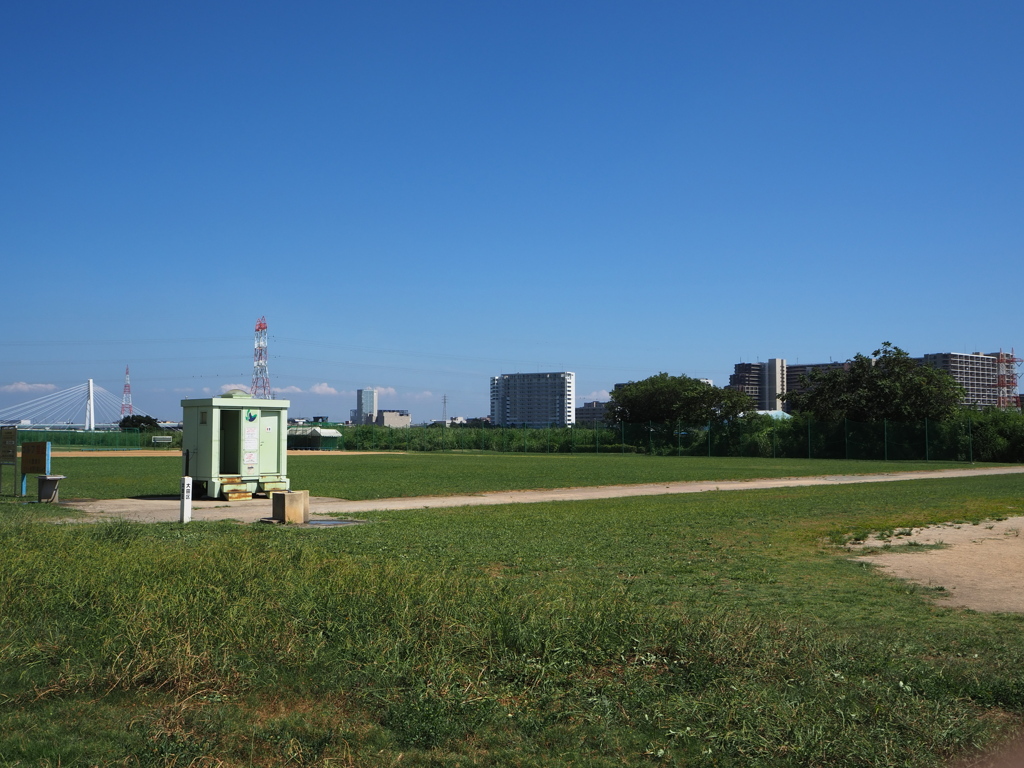 夏②