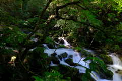 白糸の滝