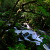 白糸の滝