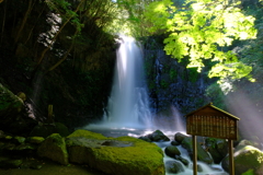 白糸の滝