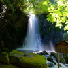 白糸の滝