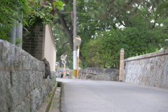 壁登りにゃんこ