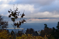 DSC_0102
