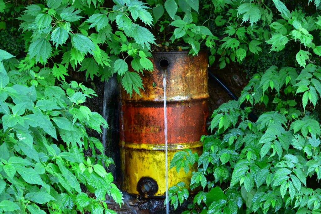 DSC_1422