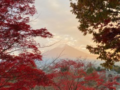 新倉山浅間公園