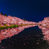 桜鏡