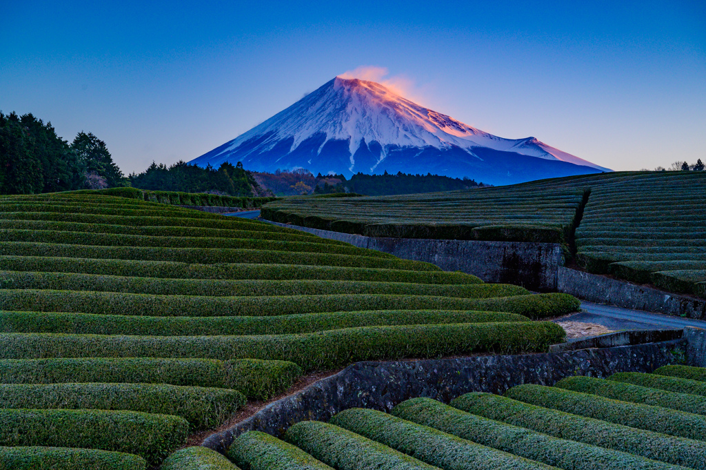 荘厳