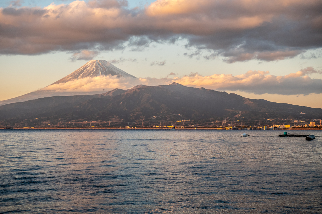 西浦より