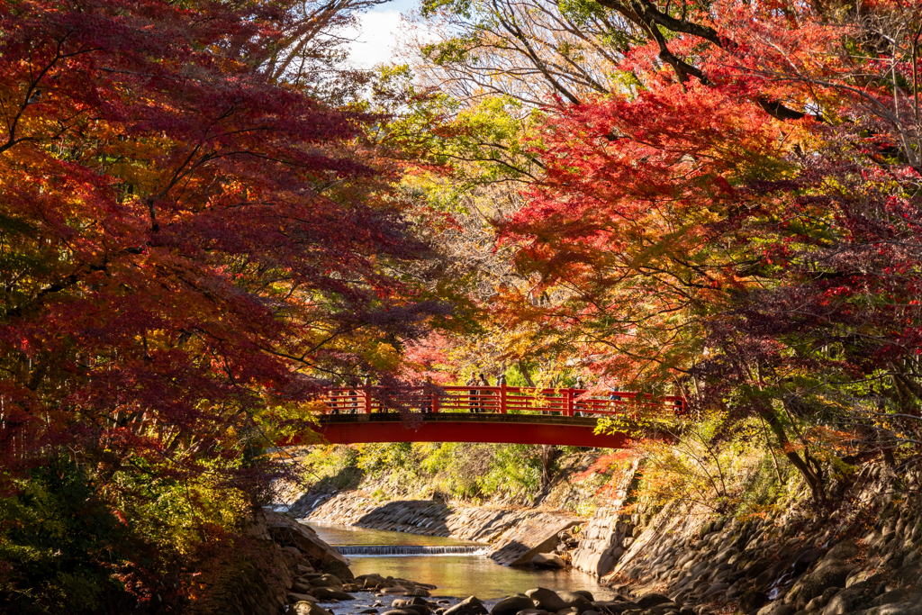 楓橋