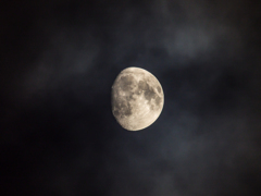 曇り月
