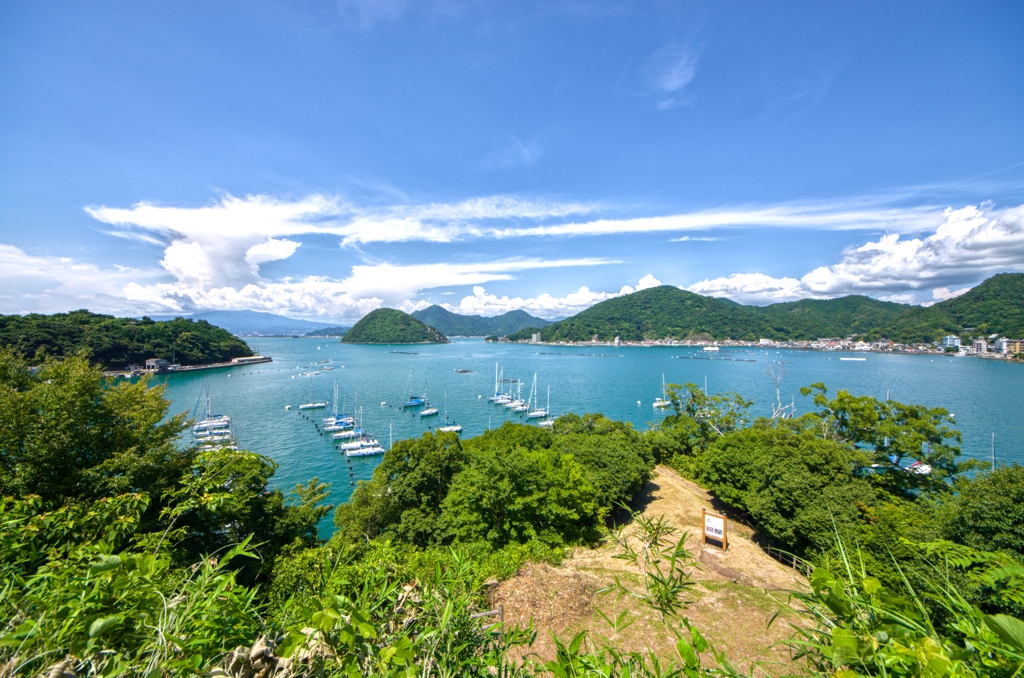 夏のワンカット