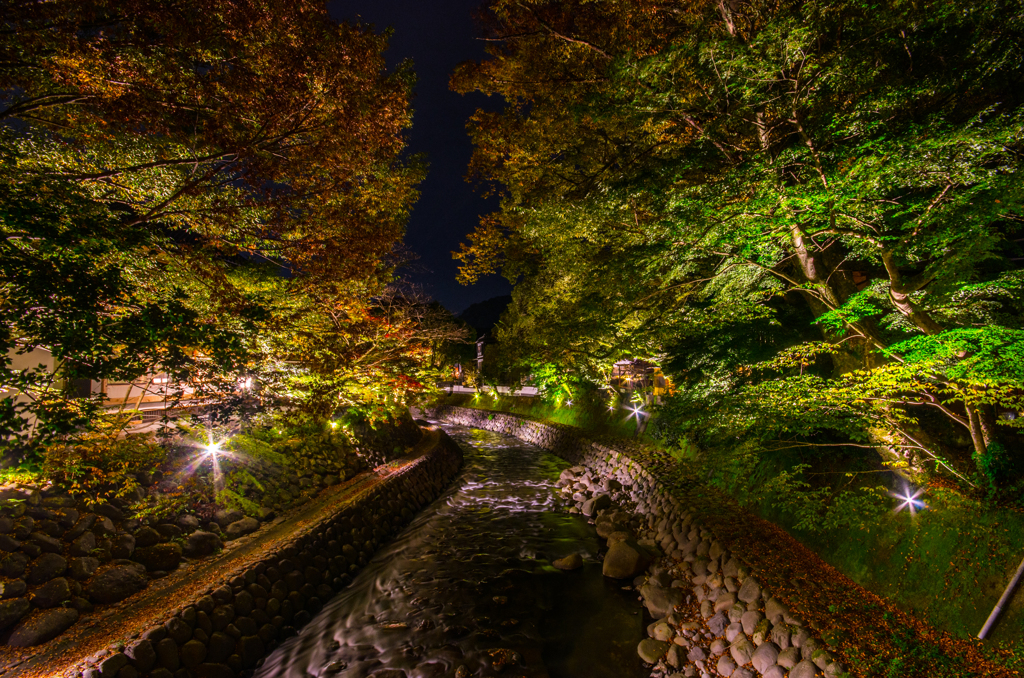 温泉街の桂川