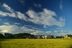 みのりの青空