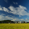 みのりの青空