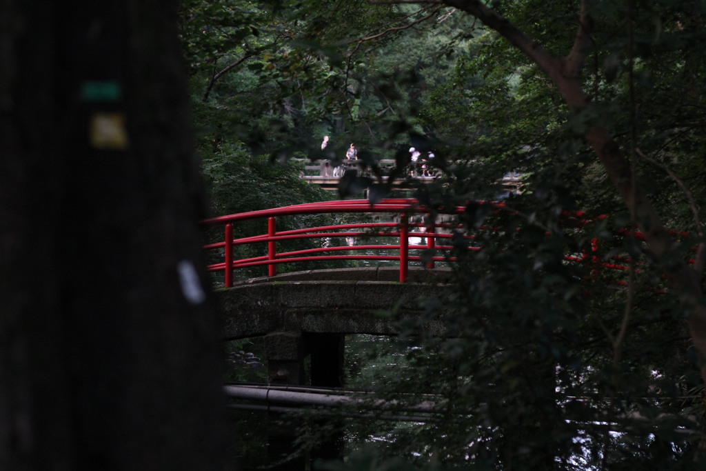 井の頭公園