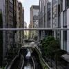 渋谷