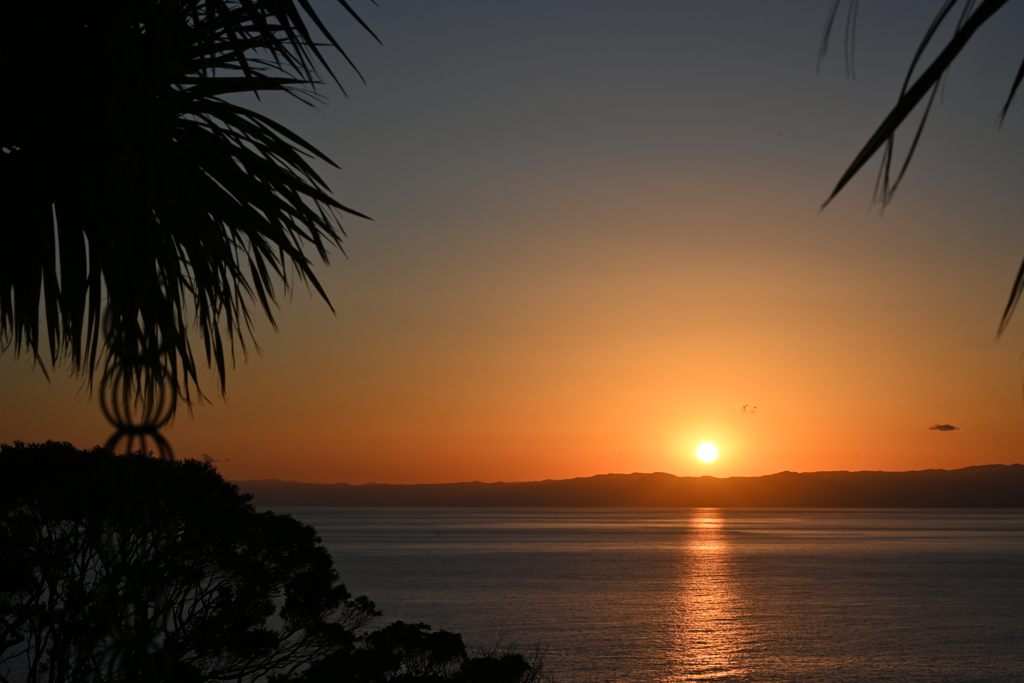 夕方の江ノ島を散策~