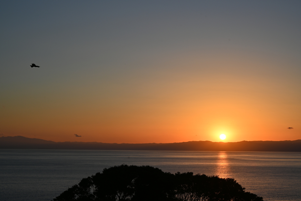 夕方の江ノ島を散策~